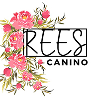 logo_flores.jpg